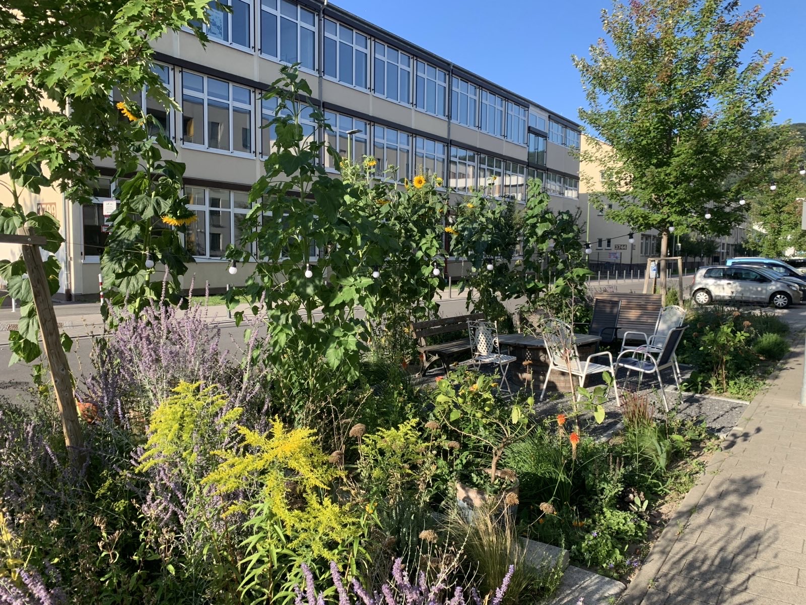 5D11F345-6958-4B02-976F-B3F768466E58