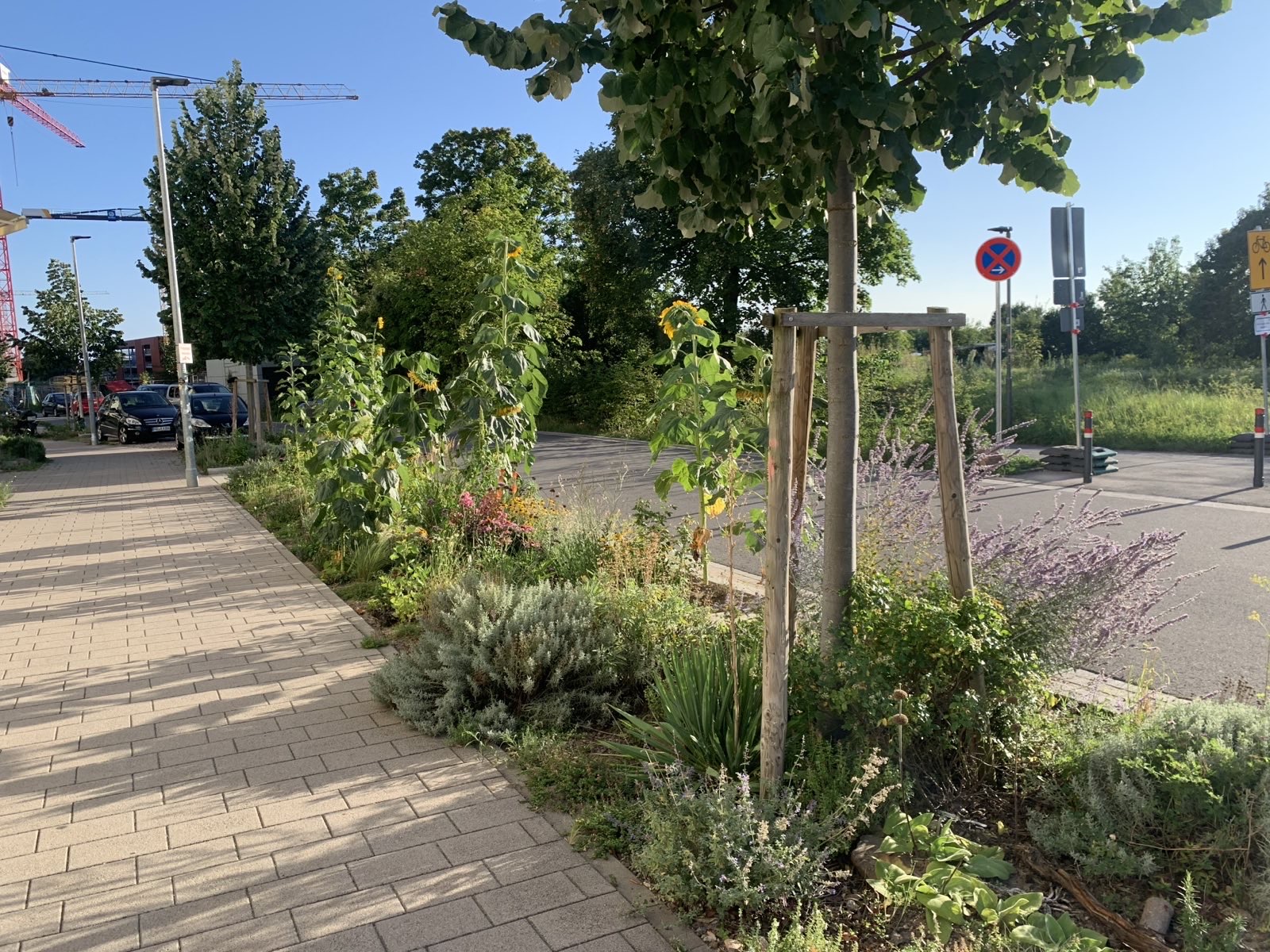 EAD9917E-851E-4EA3-A683-DEB74194CD29